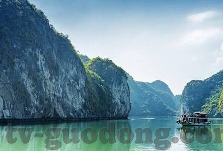 91视频 麻豆-重塑网络文化视野，探讨91视频与麻豆现象的多元化解读