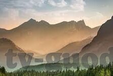 大象传媒有限公司招聘-大象传媒有限公司，创意与激情的汇聚之地——诚邀您的加入