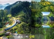 麻豆+果冻+天美传媒-麻豆与果冻，天美传媒下的创意视觉盛宴