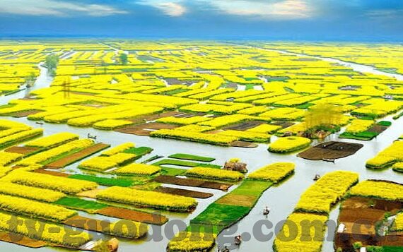 麻豆精品国产91福观看-从欣赏艺术到理解生活，走进麻豆精品国产的多样视角