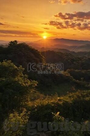糖心app官网下载最新-探索缤纷娱乐新界，糖心App官网最新版下载全解析