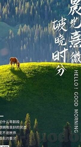 糖心视频破解版app下载-不可越过的底线，警惕非法下载侵犯版权的软件